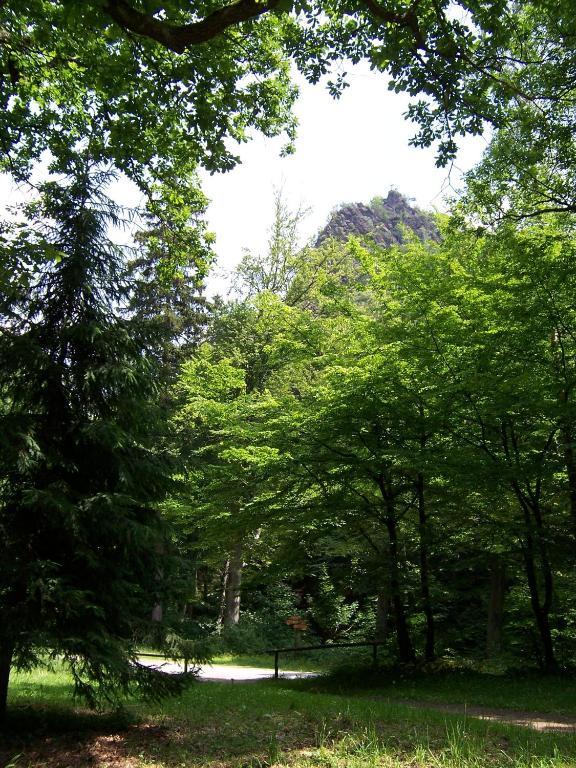 Ferienwohnung Im Stieg 4 Quedlinburg Dış mekan fotoğraf